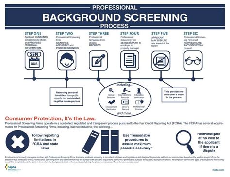 vero background check|what does vero screening check.